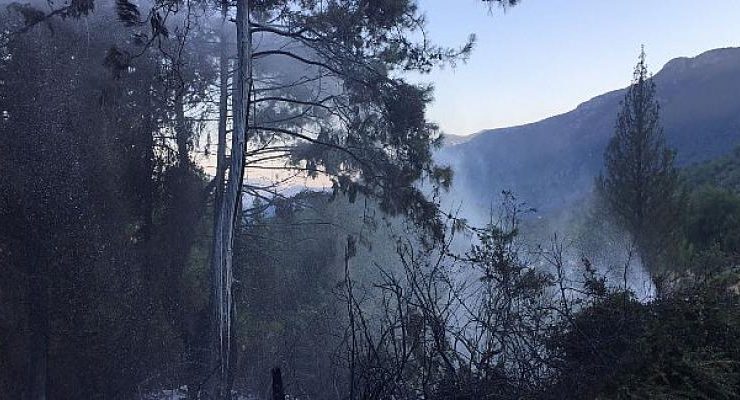 Kemer’de Çıkan Orman Yangını Büyümeden Kontrol Altına Alındı