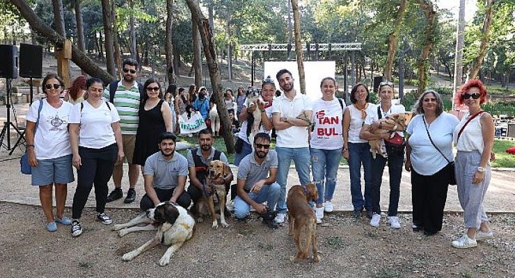 Koç Topluluğu Çalışanları, Sokak Hayvanlarıyla Ortak Bir Yaşam Kültürü İçin Semtpati Fest’te Buluştu