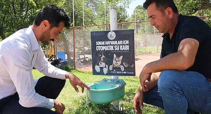 Sivas Belediyesi’nden Sokak Hayvanları İçin Otomatik Sulama Sistemi Kuruldu