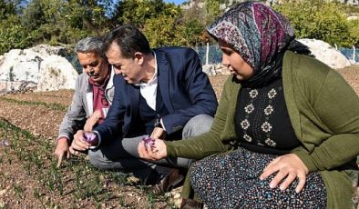 Yenişehir Belediyesi tarımsal danışmanlık hizmeti verecek